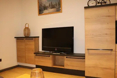 Télévision ou salle de divertissement dans l'établissement apartment center Sélestat Le Melimi