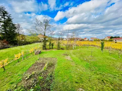 Jardin de l'établissement Entre Vignes et Verger