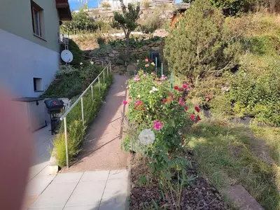 Jardin de l'établissement LOZEN avec piscine privée intérieure