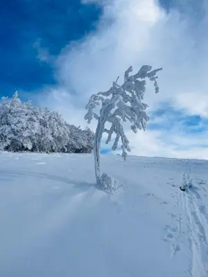 L'établissement L'escapade Vosgienne en hiver