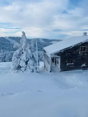 L'établissement L'escapade Vosgienne en hiver