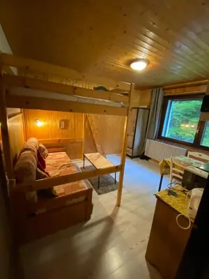 Coin salon dans l'établissement Studio cosy à La Bresse, 18 m² avec équipements