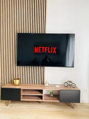 Télévision ou salle de divertissement dans l'établissement Appartement Moderne et Cosy avec Balcon - Parking Gratuit - Netflix