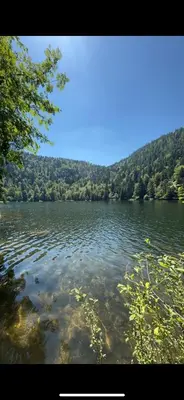 Paysage naturel près de l'appartement