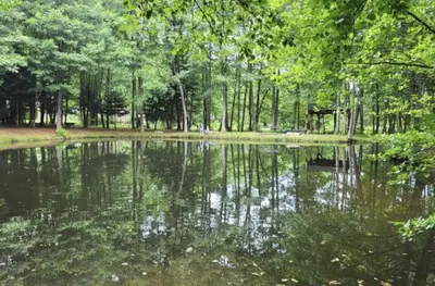 Paysage naturel près de le camping