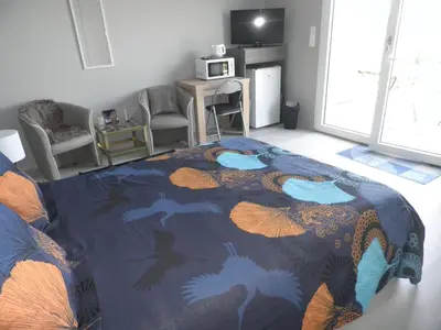 Télévision ou salle de divertissement dans l'établissement Grande chambre à louer