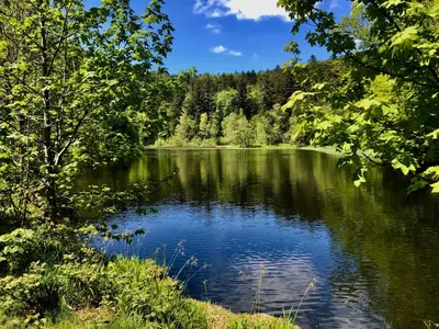 Paysage naturel près de la maison de vacances