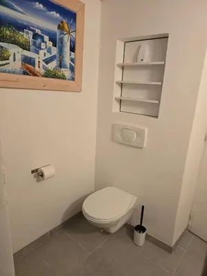 Salle de bains dans l'établissement Appartement proche Colmar