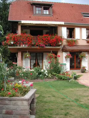 Jardin de l'établissement Studio CHAMPETRE F1