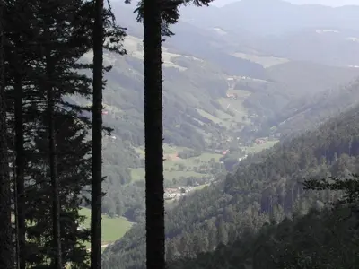 Paysage naturel près de l'appartement