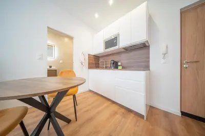 Cuisine ou kitchenette dans l'établissement Frontiere Suites 4 Saint-Louis Proche Bale