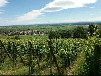 Paysage naturel près de l'appartement