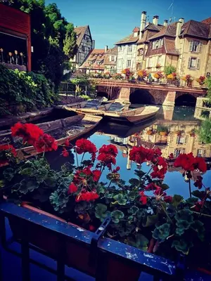 Jardin de l'établissement Appolon