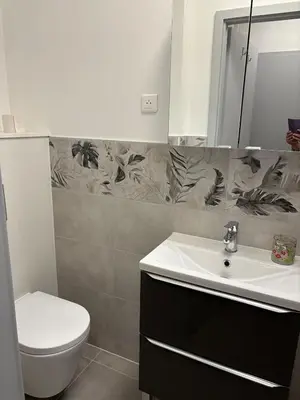 Salle de bains dans l'établissement Le Nid de Louise, studio Mulhouse avec terrasse