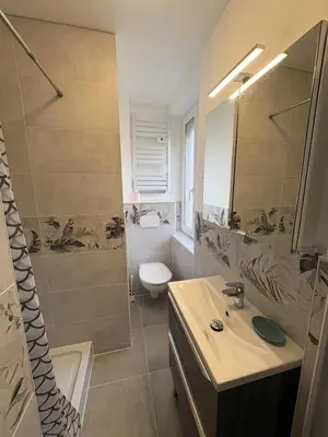 Salle de bains dans l'établissement Appartement Louise Pro et Séjour à Mulhouse pour 4 personnes