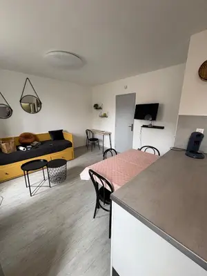 Télévision ou salle de divertissement dans l'établissement Appartement Louise Pro et Séjour à Mulhouse pour 4 personnes