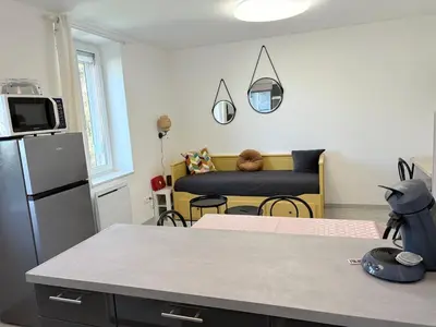 Cuisine ou kitchenette dans l'établissement Appartement Louise Pro et Séjour à Mulhouse pour 4 personnes