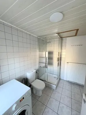 Salle de bains dans l'établissement Horse House Calm and Nature near motorway and Basel
