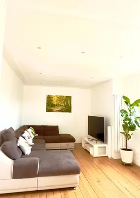 Télévision ou salle de divertissement dans l'établissement Lovely 2 bedrooms flat Basel Saint Louis -with private parking