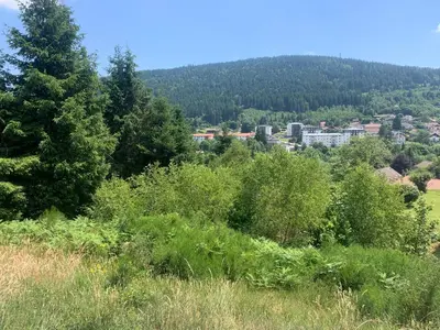 Paysage naturel près de l'appartement