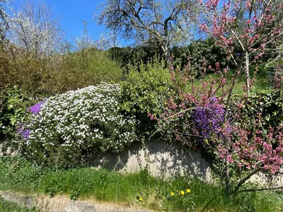 Jardin de l'établissement Vacances au calme