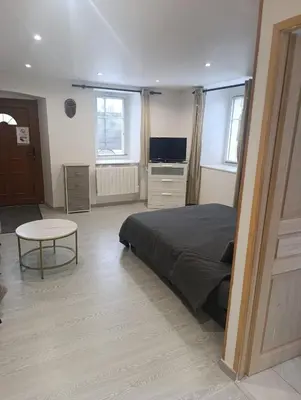 Télévision ou salle de divertissement dans l'établissement Grand studio dans maison parking privé gratuit
