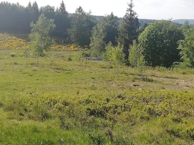 Paysage naturel près de la maison de vacances
