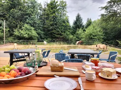 Nourriture dans la maison de vacances ou à proximité