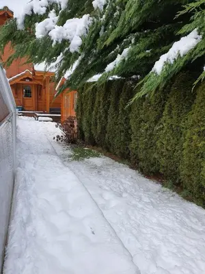 Plan de l'établissement Chalet Mattéo