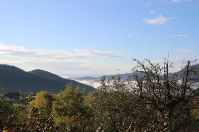 Paysage naturel près de la maison de vacances