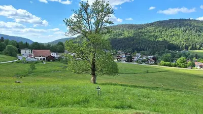 Paysage naturel près de le chalet