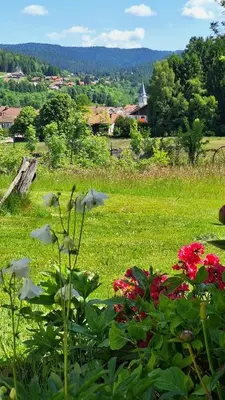 Paysage naturel près de le chalet