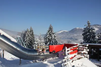 L'établissement Chalets Julien en hiver