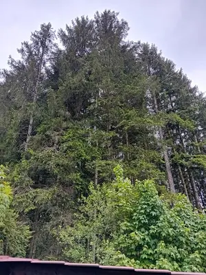 Paysage naturel près de l'appartement