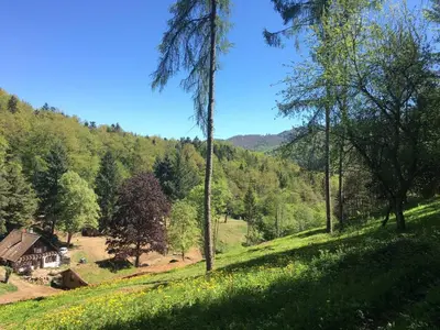 Paysage naturel près de la maison de vacances
