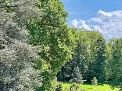 Paysage naturel près de l'appartement