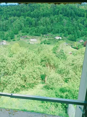 Paysage naturel près de la maison de vacances