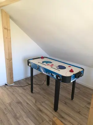 Tennis de table au sein de l'établissement Gîte des Hirondelles 4 à 5 personnes proche Europapark ou à proximité