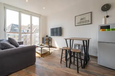 Télévision ou salle de divertissement dans l'établissement Le Bâle 24 Très Bel Appartement Centre Mulhouse