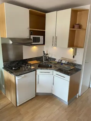 Cuisine ou kitchenette dans l'établissement Le Petit Carrousel