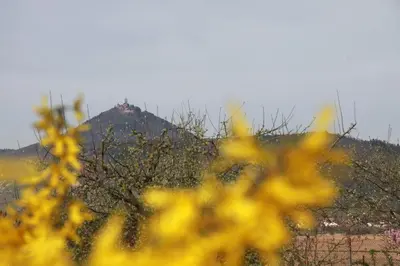 Vue générale sur la montagne ou vue sur la montagne depuis l'appartement