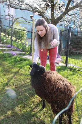 Animaux dans l'appartement ou à proximité