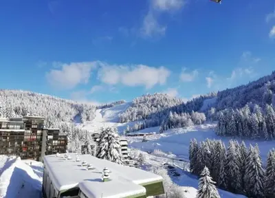L'établissement L'Ourson Rider - Proche pistes de ski en hiver