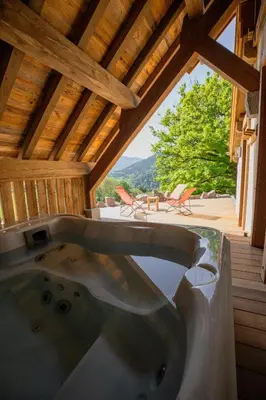 Vue générale sur la montagne ou vue sur la montagne depuis le chalet