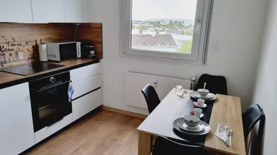 Cuisine ou kitchenette dans l'établissement Appartement moderne Treeland - Basel - Airport