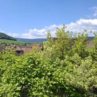 Grand Appartement avec Balcon
