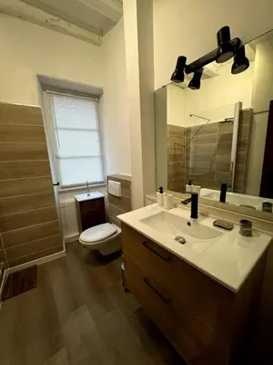 Salle de bains dans l'établissement Les Suites Schwendi en Hypercentre
