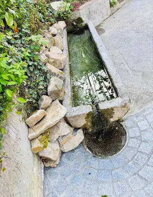 Jardin de l'établissement Maison individuelle à Ueberstrass