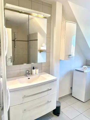 Salle de bains dans l'établissement Grand T3, 2 chambres, jardin au calme - Gîte du Photographe