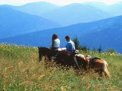 Clients de l'établissement Chalet paisible pour 6 personnes au cœur de la nature - FR-1-583-419